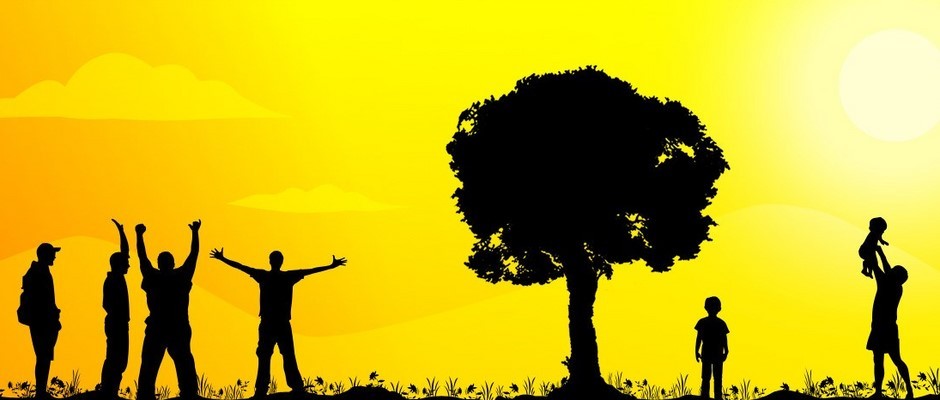 yellow-tree-2.jpg